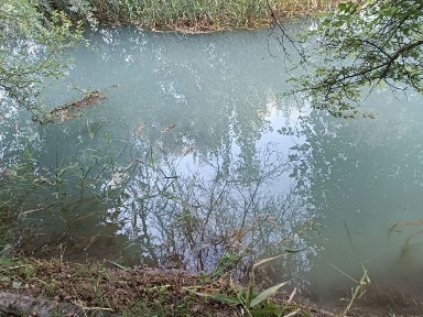 Ташкентская область, Кибрай