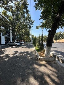 Ташкентская область, Ташкент, Юнусабадский район