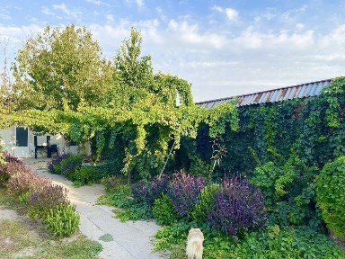 Ташкентская область, Ташкент, Мирабадский район