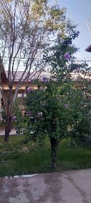 Ташкентская область, Ташкент, Сергелийский район