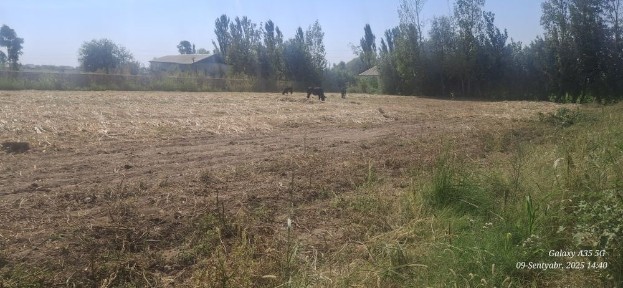 Уй сотаман томарқали