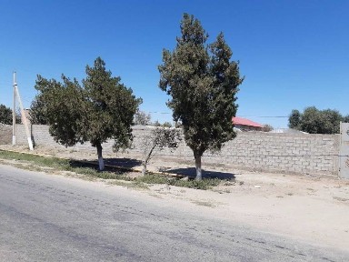 Бухарская область, Галаасия