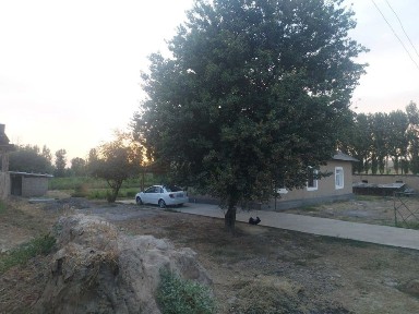 Ишлаб чикариш, цех, дехкончилик ва чорвачилик учун катта ховли.