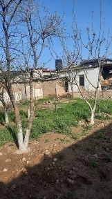 Ташкентская область, Кибрай