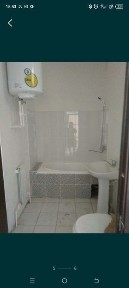 Kotej uzoq muddatga ijaraga beriladi