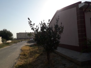 Сырдарьинская область, Хаваст