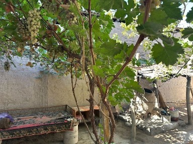 Хорезмская область, Ургенч