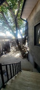 Ташкентская область, Ташкент, Сергелийский район