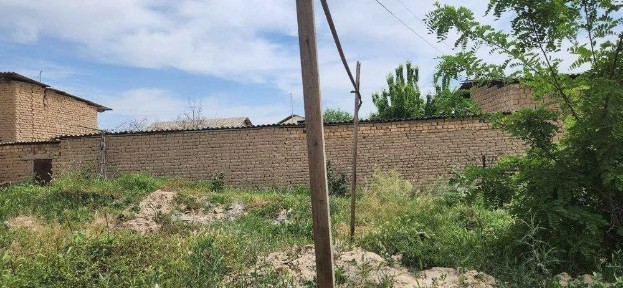 Ташкентская область, Янгиюль