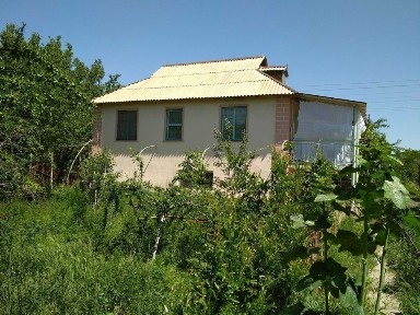 Ташкентская область, Пскент