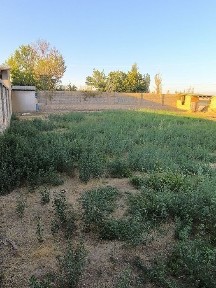 Ташкентская область, Ташкент, Бектемирский район