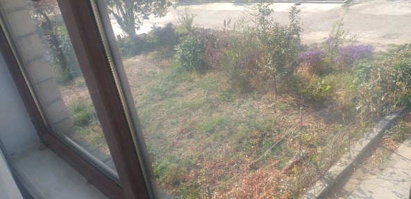 Ташкентская область, Назарбек