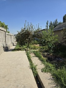 Ташкентская область, Кибрай