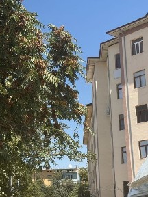 Кашкадарьинская область, Карши