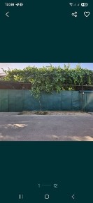 Ташкентская область, Ташкент, Мирабадский район