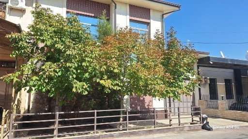 Ташкентская область, Ташкент, Мирзо-Улугбекский район