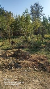 Ташкентская область, Алмалык