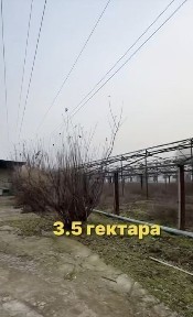 Ташкентская область, Зангиата