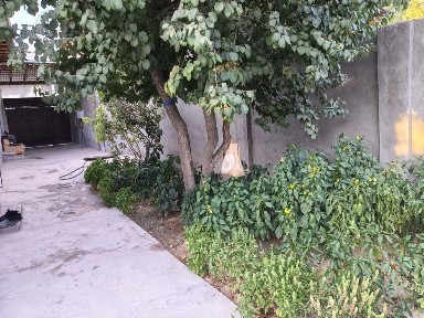 Ташкентская область, Келес