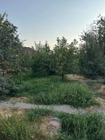 Ташкентская область, Искандар