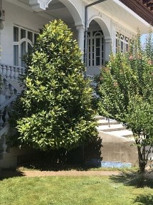 Ташкентская область, Ташкент, Чиланзарский район