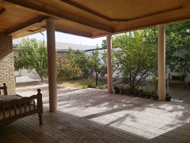 Tayor uchaska sotiladi nurotada