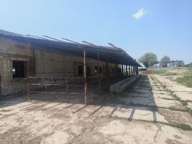 Ташкентская область, Нурафшан (Тойтепа)