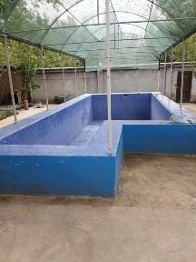 Ташкентская область, Ташкент, Юнусабадский район