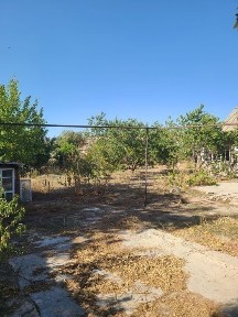 Товоксойда 8 сотикли ховли уй сотилади.