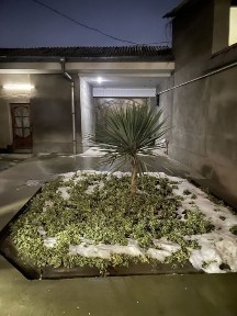 Ташкентская область, Ташкент, Юнусабадский район