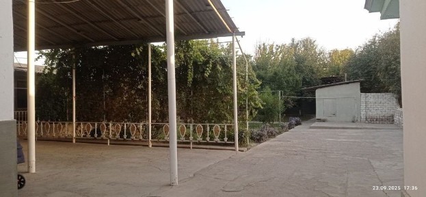 Ташкентская область, Нурафшан (Тойтепа)