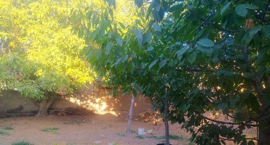 Ташкентская область, Кибрай