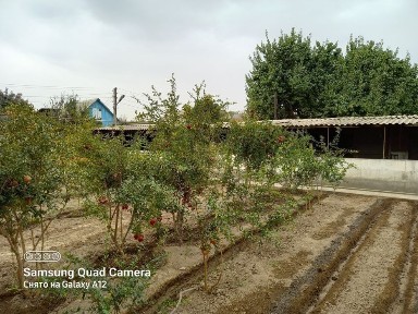 Ташкентская область, Назарбек