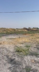 Ташкентская область, Ахангаран