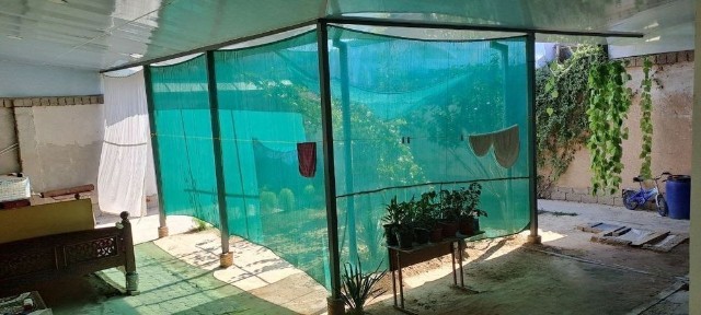 Ташкентская область, Коксарай