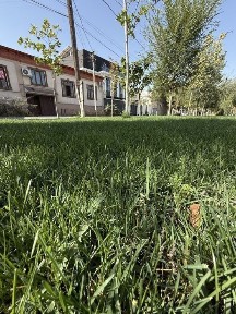 Ташкентская область, Ташкент, Мирзо-Улугбекский район