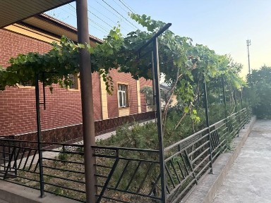 Ташкентская область, Ташкент, Бектемирский район