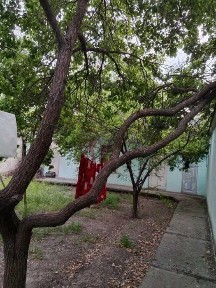 Ташкентская область, Ташкент, Мирабадский район