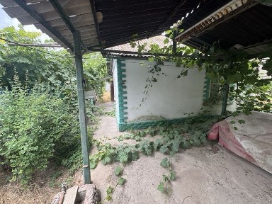 Ташкентская область, Нурафшан (Тойтепа)