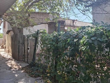 Самаркандская область, Самарканд