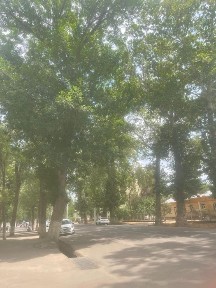 Тез ва арзон квартира сотилади