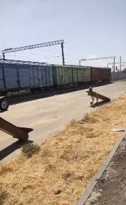 Ташкентская область, Чирчик