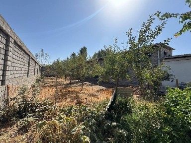 Ташкентская область, Нурафшан (Тойтепа)