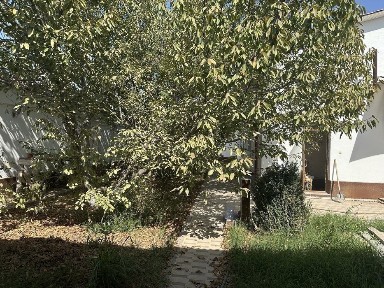 Ташкентская область, Ташкент, Чиланзарский район