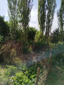 Ташкентская область, Кибрай