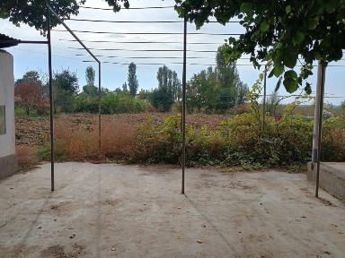 Ташкентская область, Аккурган