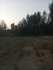 Ташкентская область, Бука