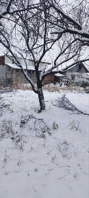 Ташкентская область, Келес