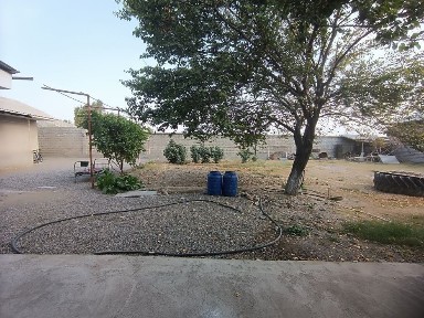 Ташкентская область, Янгибазар