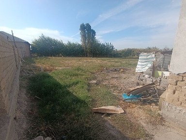 Ташкентская область, Нурафшан (Тойтепа)